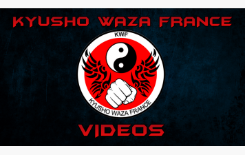 6 nouvelles vidéos en ligne