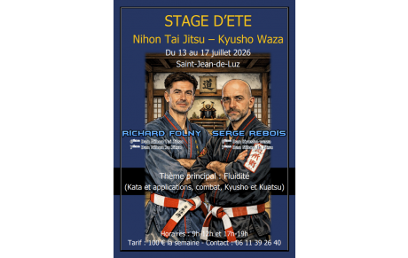 Stage d'été Nihon Tai Jitsu -- Kyusho